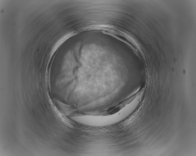 X0000067351050200604281437