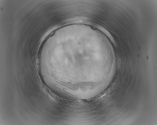 X0000067351051200604281437