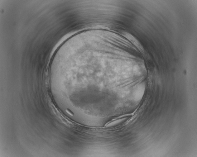 X0000067351052200604281437