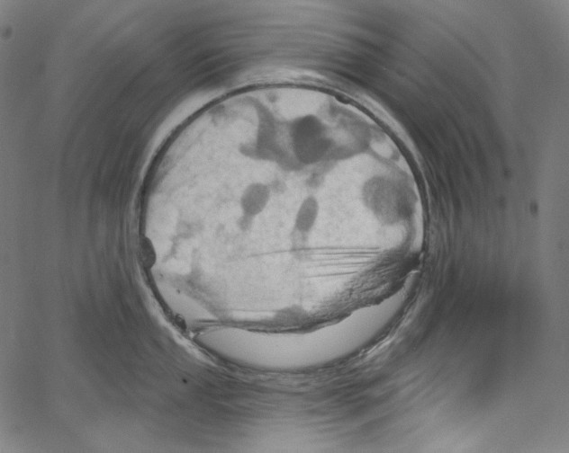 X0000067351053200604281437