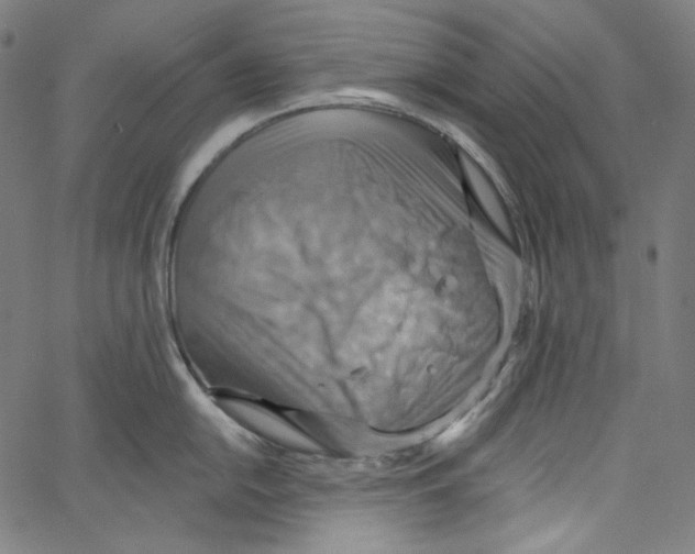 X0000067351054200604281437