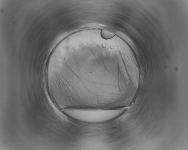 X0000067351055200604281437