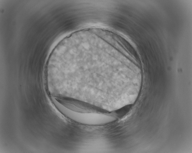 X0000067351056200604281437