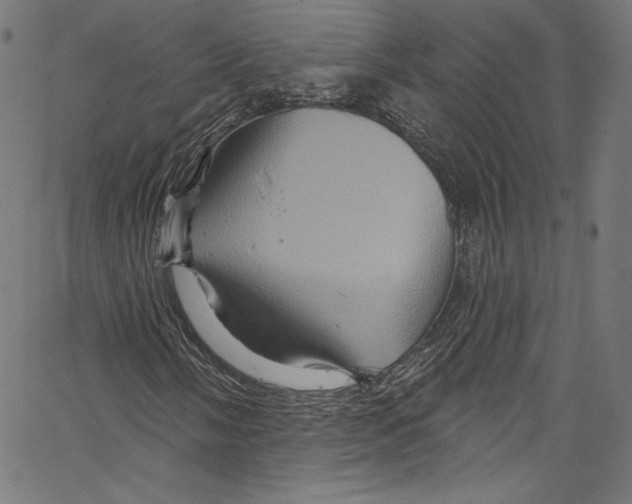 X0000067351058200604281436