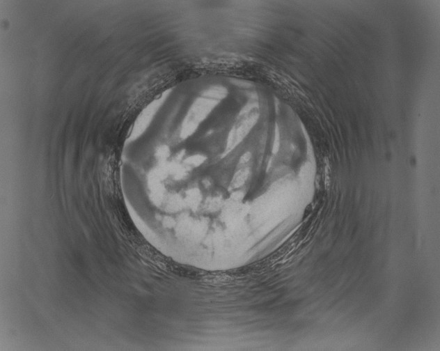 X0000067351059200604281436