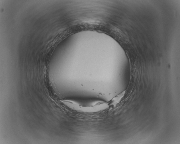 X0000067351061200604281436