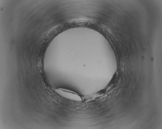 X0000067351062200604281436