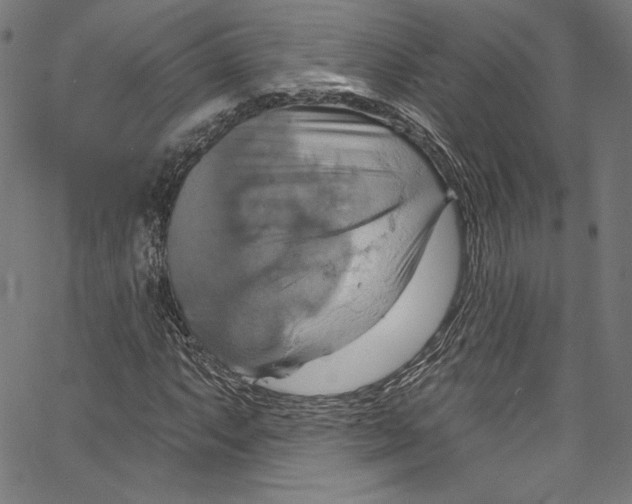 X0000067351063200604281436