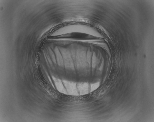 X0000067351064200604281436