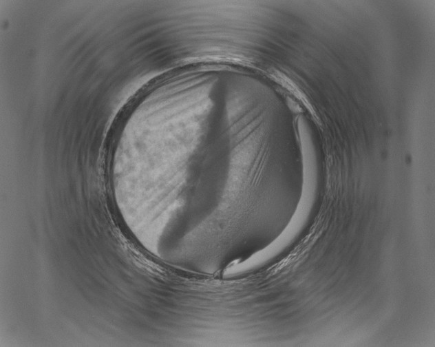 X0000067351068200604281436