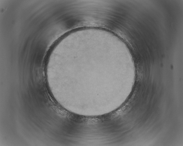 X0000067351070200604281436