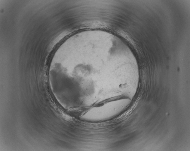 X0000067351071200604281436