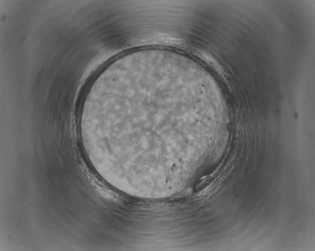 X0000067351072200604281436