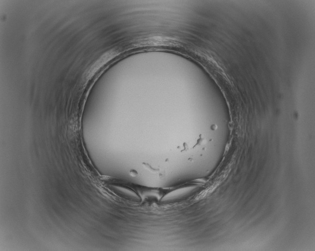 X0000067351073200604281436