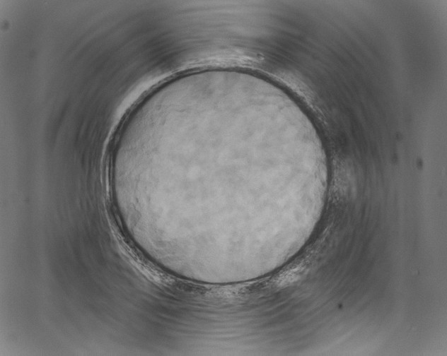 X0000067351078200604281436