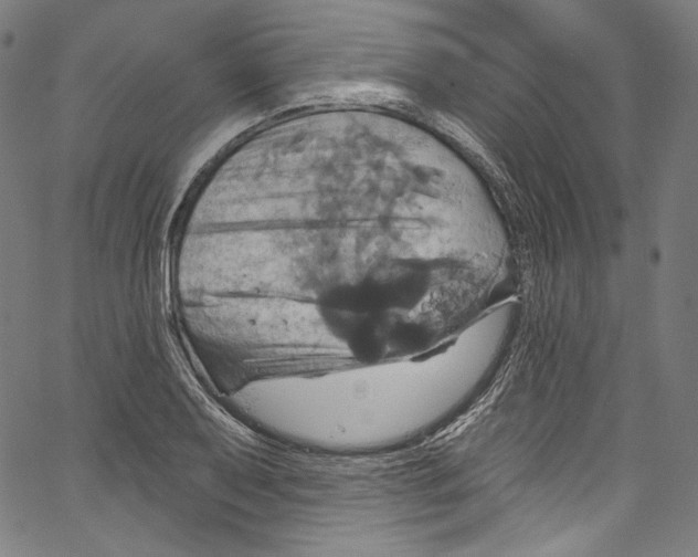 X0000067351079200604281436