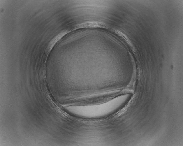 X0000067351081200604281436