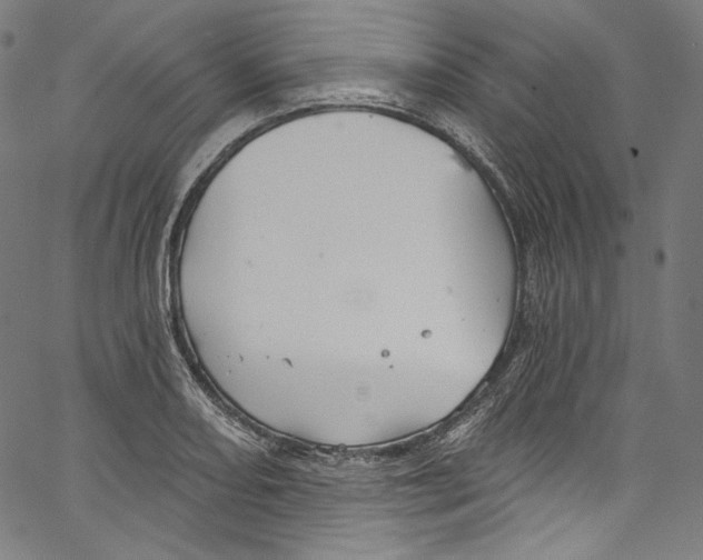 X0000067351082200604281436