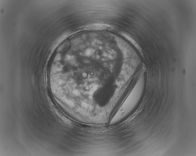 X0000067351083200604281436