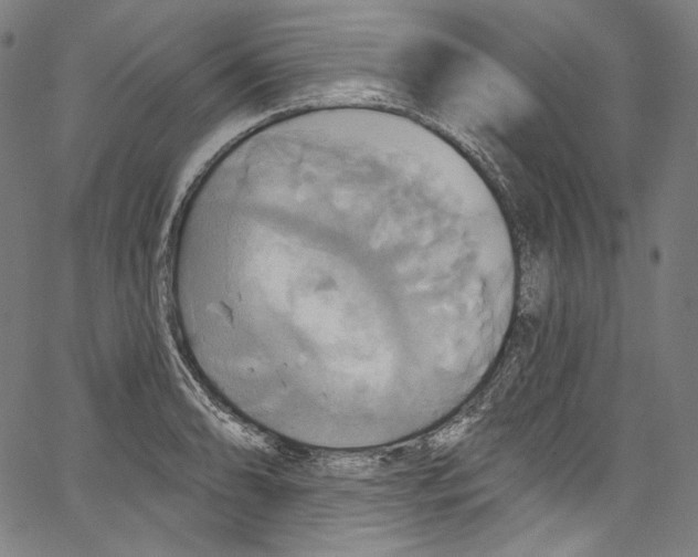 X0000067351086200604281436