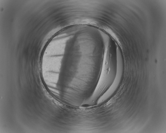 X0000067351088200604281436