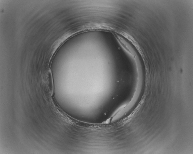 X0000067351089200604281436