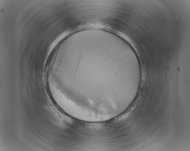 X0000067351090200604281436