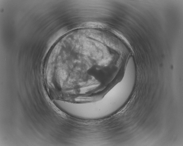 X0000067351091200604281436