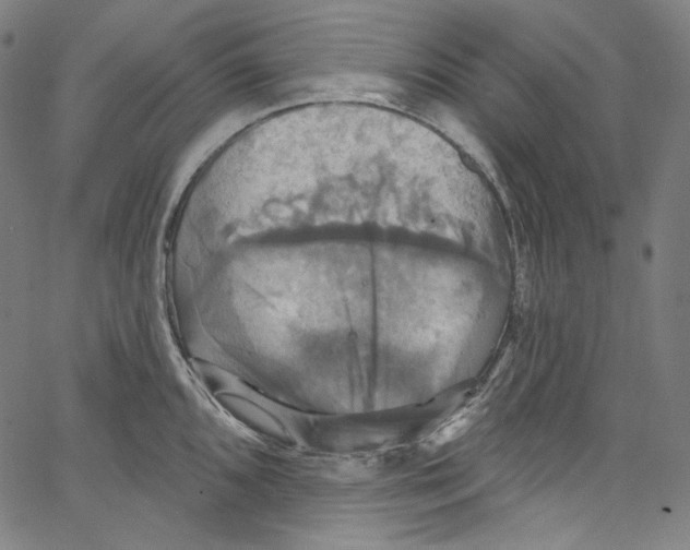 X0000067351096200604281436