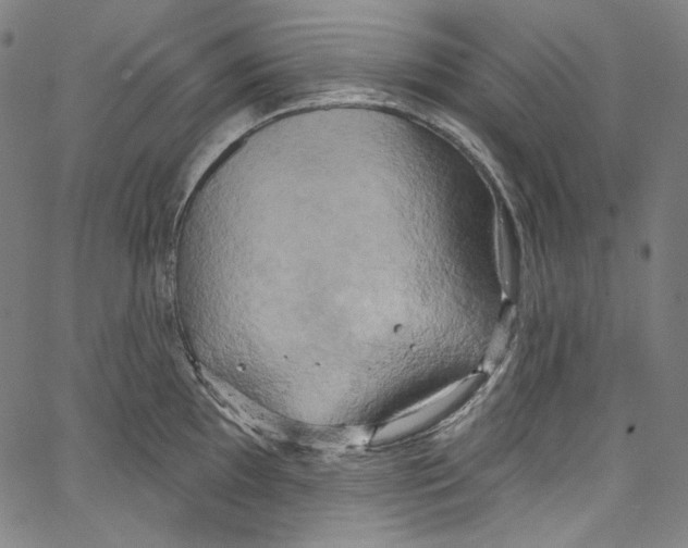 X0000067351097200604281435