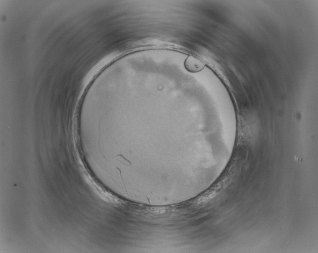 X0000067351098200604281435