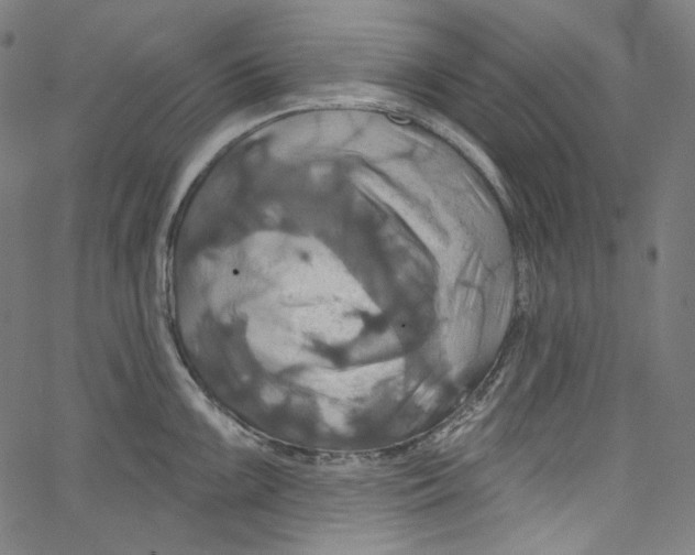 X0000067351099200604281435