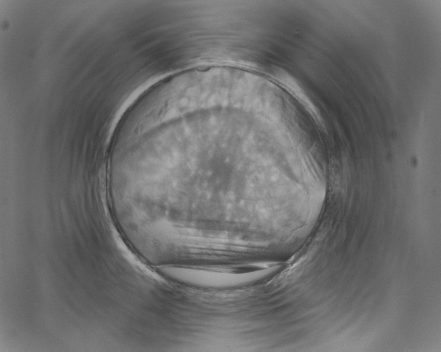 X0000067351100200604281435