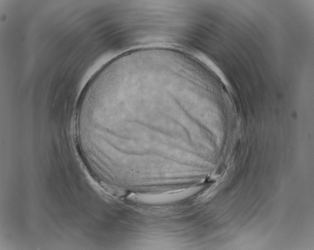 X0000067351101200604281435