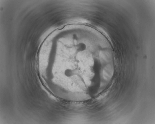 X0000067351103200604281435