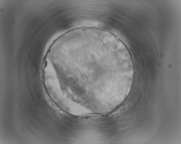 X0000067351104200604281435