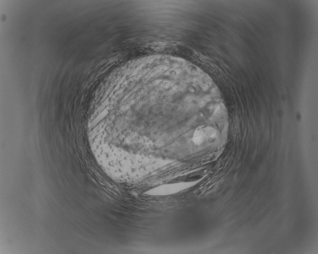 X0000067351105200604281435