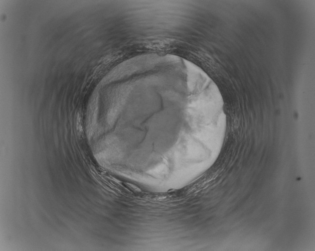 X0000067351106200604281435