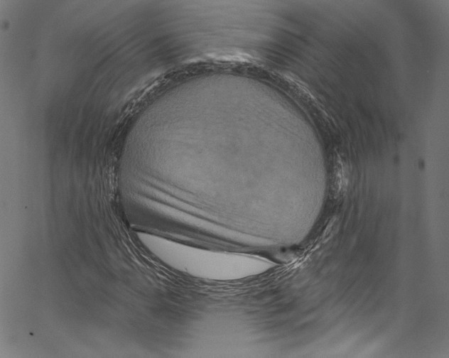 X0000067351110200604281435