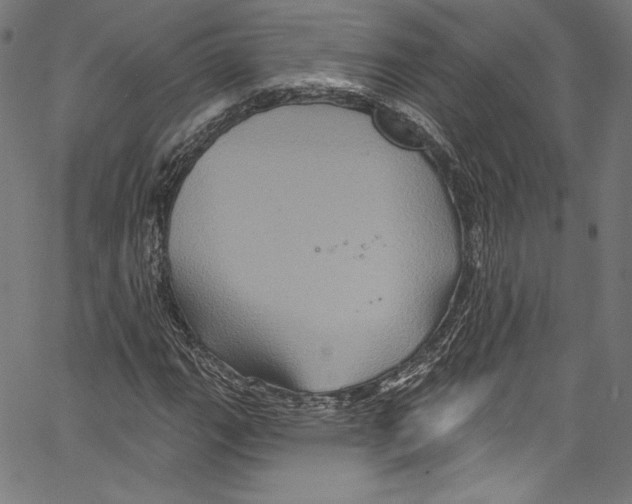 X0000067351111200604281435