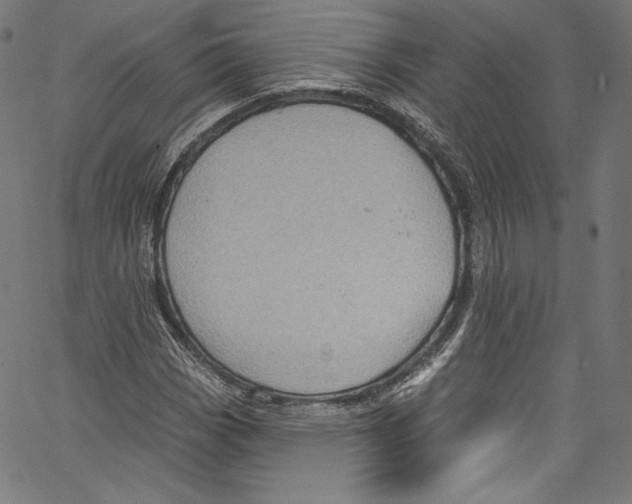 X0000067351113200604281435