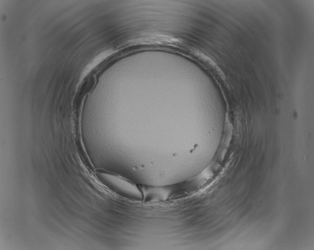 X0000067351114200604281435