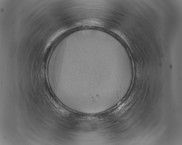 X0000067351115200604281435