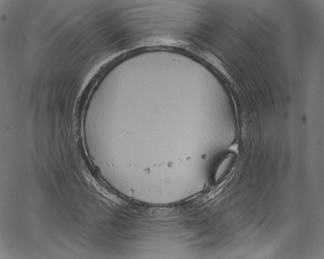 X0000067351116200604281435