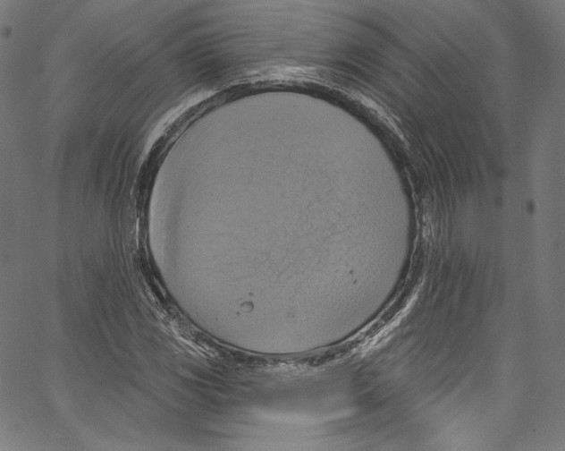 X0000067351117200604281435