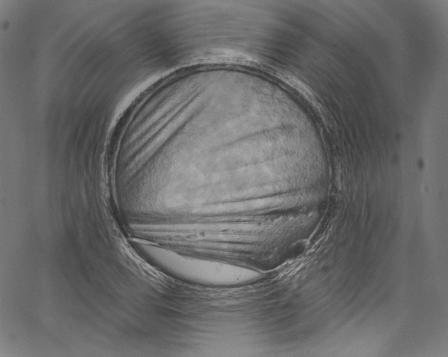 X0000067351120200604281435