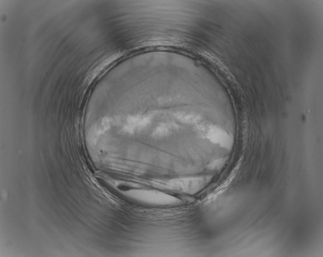 X0000067351121200604281435