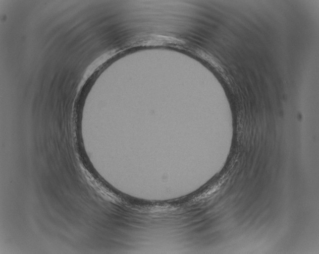 X0000067351122200604281435