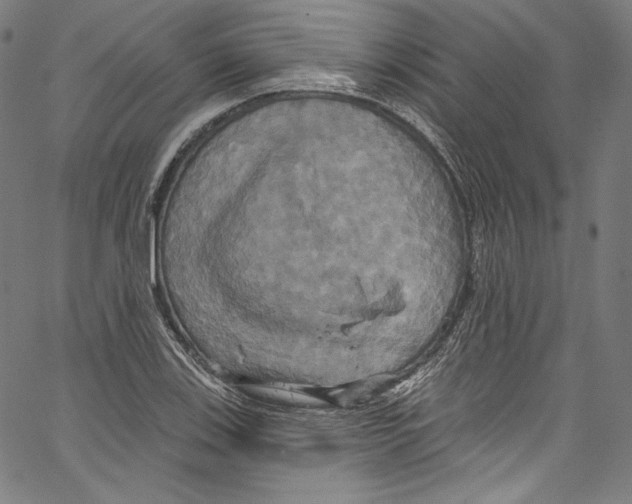 X0000067351123200604281435