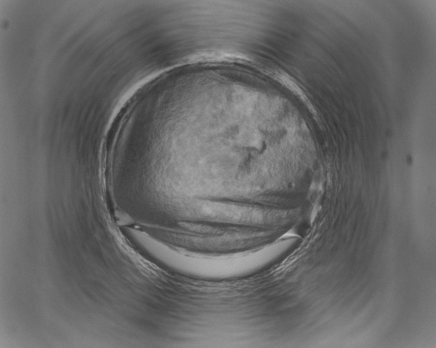 X0000067351124200604281435